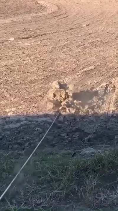Probably stinky