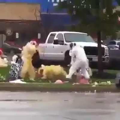 Chickens vs Cows