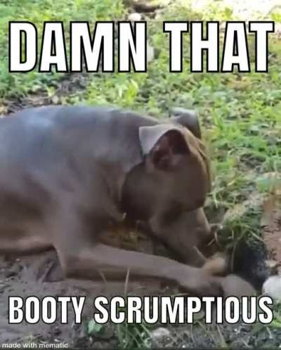 Big hairy nutsacks