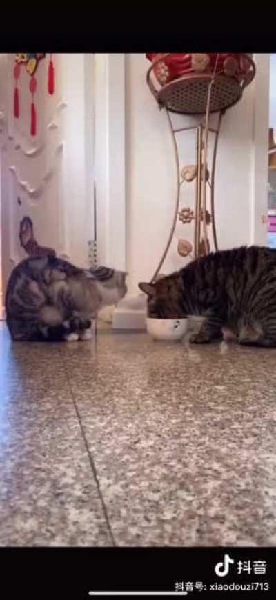 Sharing is caring