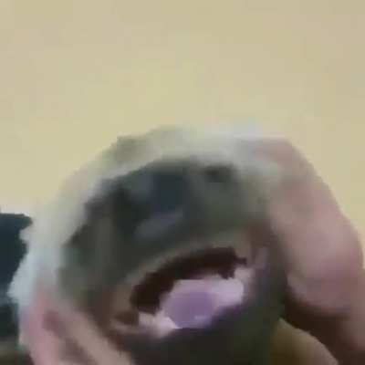Me and my favorite Hyenadon after he saves me from a pack of Raptor's.