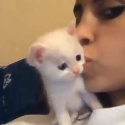 Kisses