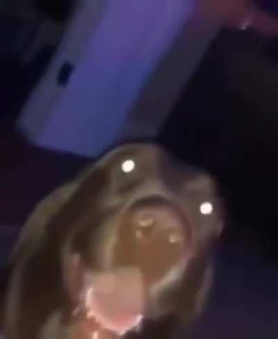 Inner scream