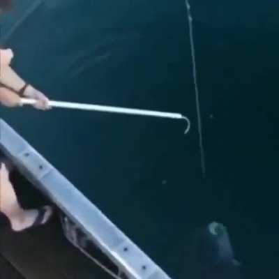Carioca pescando: