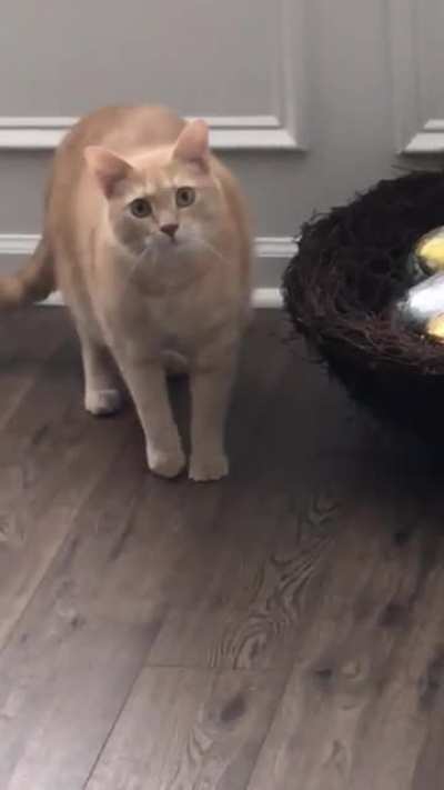 Caught tapping the Easter decorations