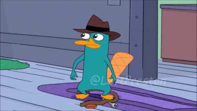 PERRY THE PLATYPUS!!
