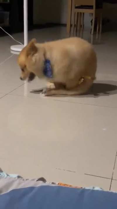 This is how he plays his toys