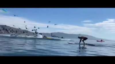 Two women get swallowed by a whale