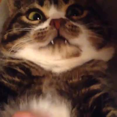Look at his teefers