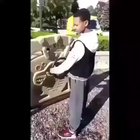 How to drive a car