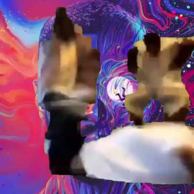 AOTY