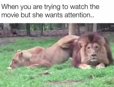 Guess the movie