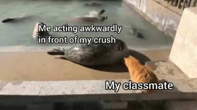 Don't get too excited.