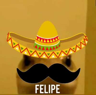 Felipe