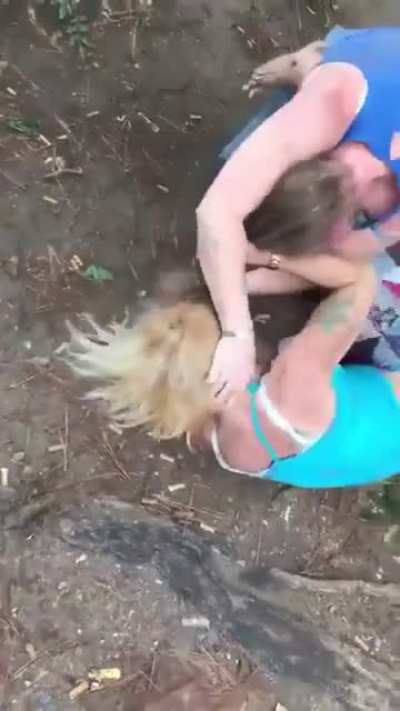 cats fighting