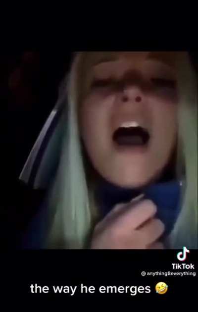Sounds like a pterodactyl