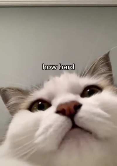 Help me find the original video, thanks