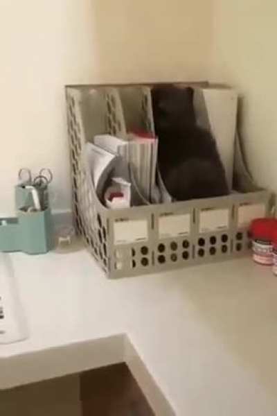 Шерстяной документ
