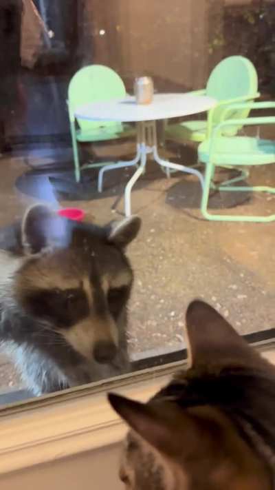 Second time posting, but the sound gives the full story of what is actually happening…