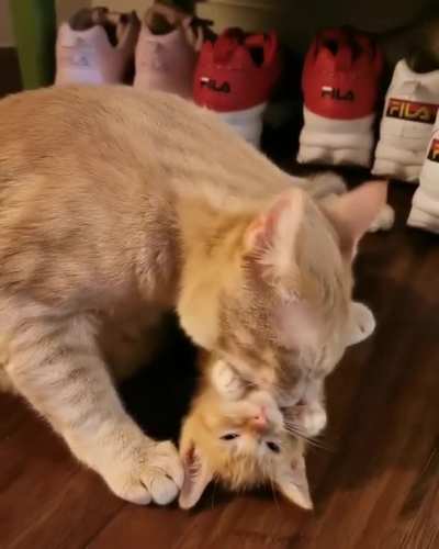 orange bath time