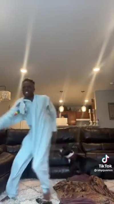 This guys dog has had enough of his TikTok shit
