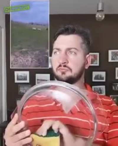 Dude reacts to horses
