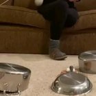 Trick shots