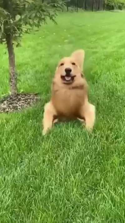 Derp mode activated