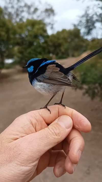 Nature love me. 
