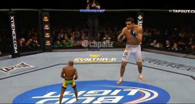 Mini Silva