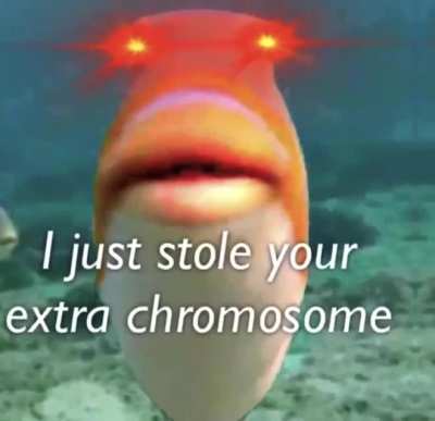 You are all welcome