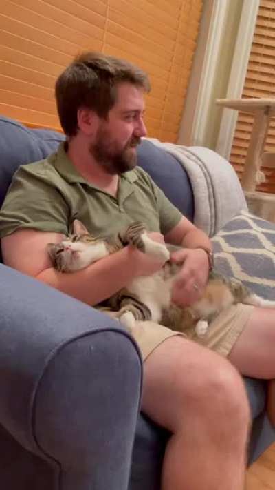 Kitty pudding