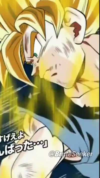 I combined both the stand by activation of LR Ssj3 Goku and Ssj2 Vegeta.