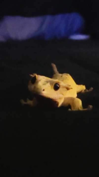 Ahhhhhhh monster
