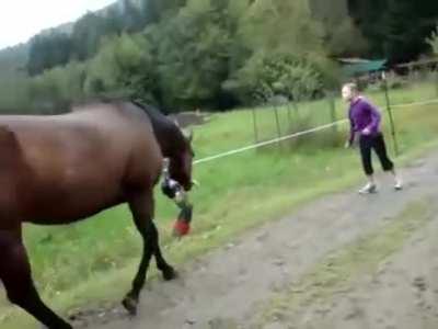Horse farted, scared itself and kid.