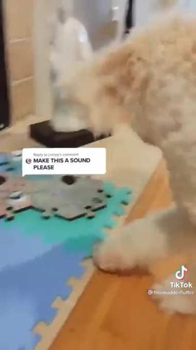 Giving you dog a voice is a double edged sword