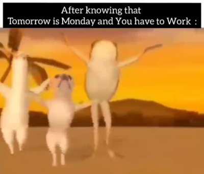sed lyf