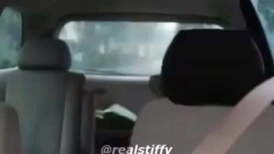 Where did they go?