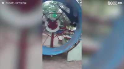Painful fall in giant hamster wheel