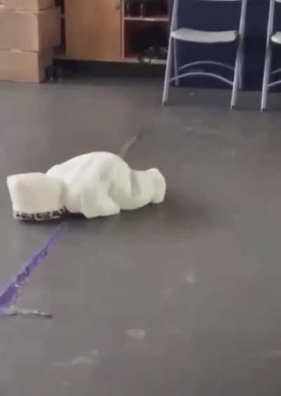 A graceful fall