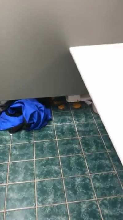 Washing my hands at work and I hear a loud “plop!” on the floor. What a surprise when I turn around