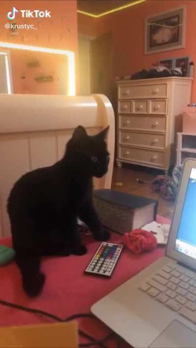 Wait till the end!