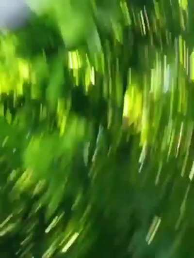 perfectlycutscreams - Video #9726