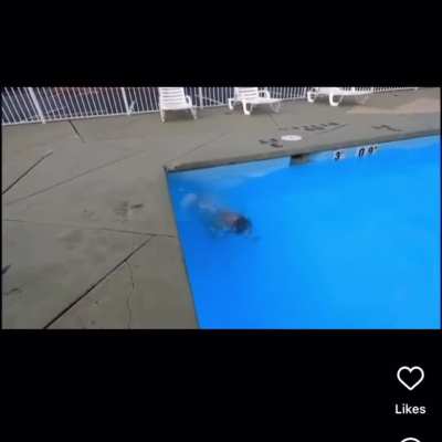 Why jump in the water when you can hit the concrete and slide