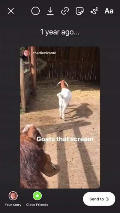 He screm