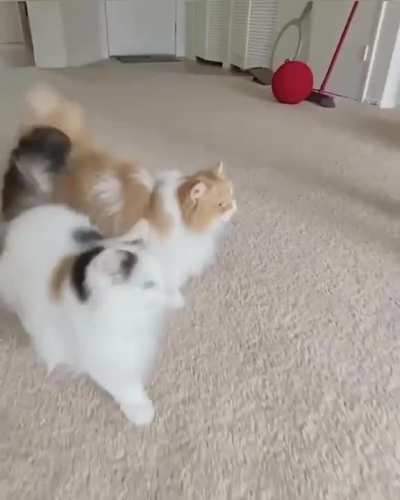 I will do what she is doing
