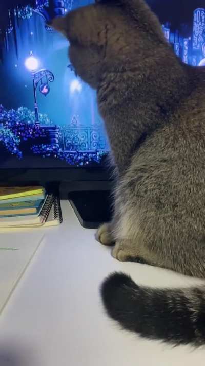 New boss just dropped