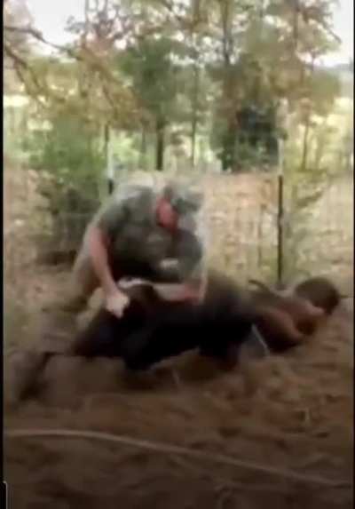 The hog dance