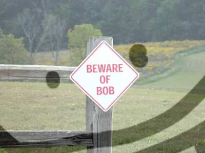 B̷͕̫̱̘̹̏̓̃̐̀̅̐̉͘Ȅ̵̺̪̺Ẅ̶̪͇̝̖̃Ä̵̛͇̪̜̲͍̮́̒̅R̴̘̪̪̋É̵̞̜̺͔͙̼̣͈͂̌́́̾̈́̏͘ ̴̧͉̅̈́̄̇̋́̕̚Ǫ̴̣͍̯̦̥͚̮̥̗͊̑̈́̿F̶͇̆͑̆͜ ̶̡̹̲̙͔͔̃͆͊̓̓́͌̅B̷̛͈̘̜̳̘͚̼̦̅̓̍͊̚Ö̵̭̳̼́̌͊̂̅̆̕B̷̻͚̭̤̯̗̻͔͓̍͊͆̌