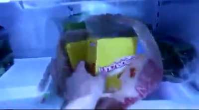 You Can't Mess Up A Lunchable...